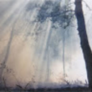 Meet your Posher, Janette